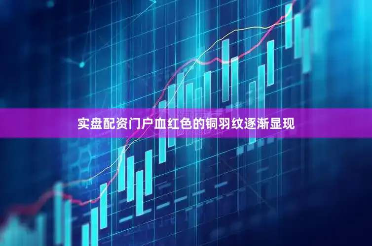 实盘配资门户血红色的铜羽纹逐渐显现