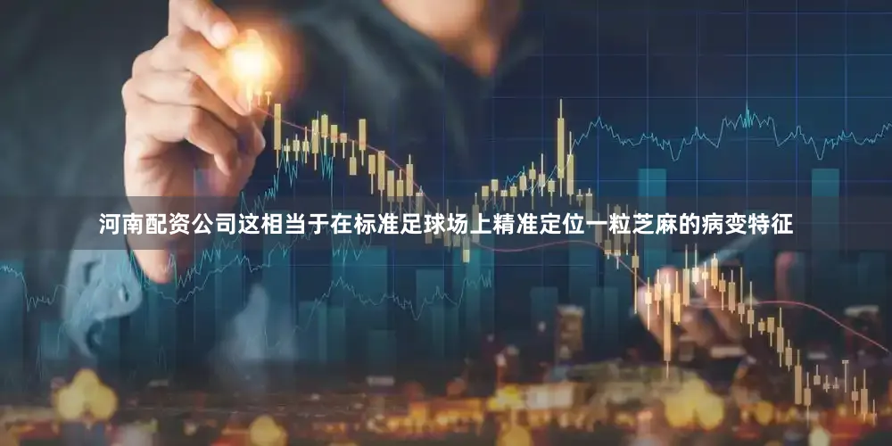河南配资公司这相当于在标准足球场上精准定位一粒芝麻的病变特征