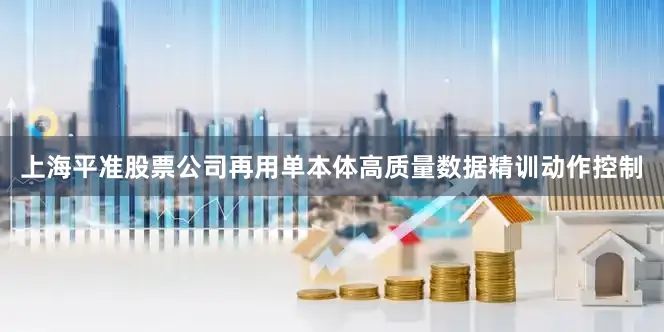 上海平准股票公司再用单本体高质量数据精训动作控制