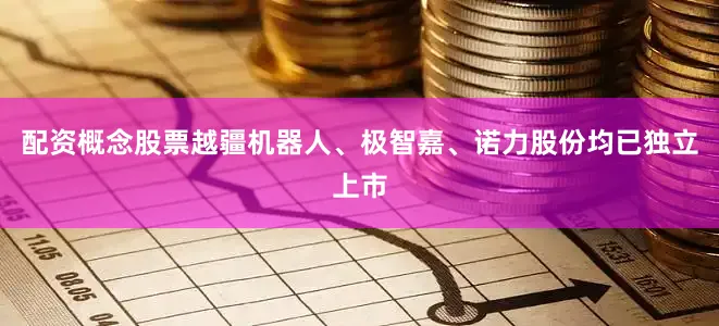配资概念股票越疆机器人、极智嘉、诺力股份均已独立上市