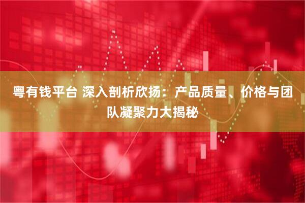 粤有钱平台 深入剖析欣扬：产品质量、价格与团队凝聚力大揭秘