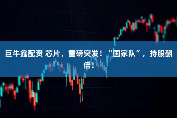 巨牛鑫配资 芯片，重磅突发！“国家队”，持股翻倍！