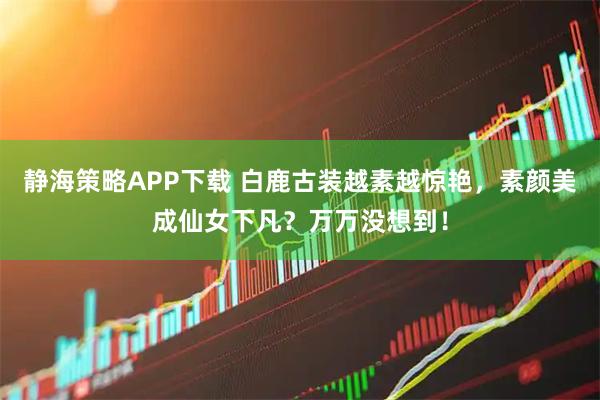静海策略APP下载 白鹿古装越素越惊艳，素颜美成仙女下凡？万万没想到！